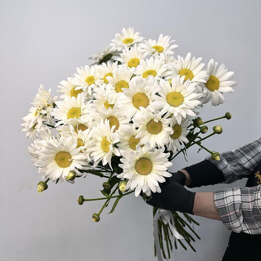 Букет из ромашек 35 шт