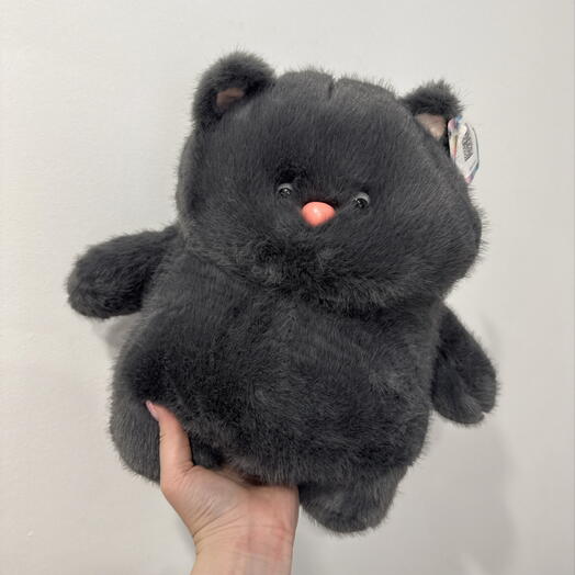 Котик