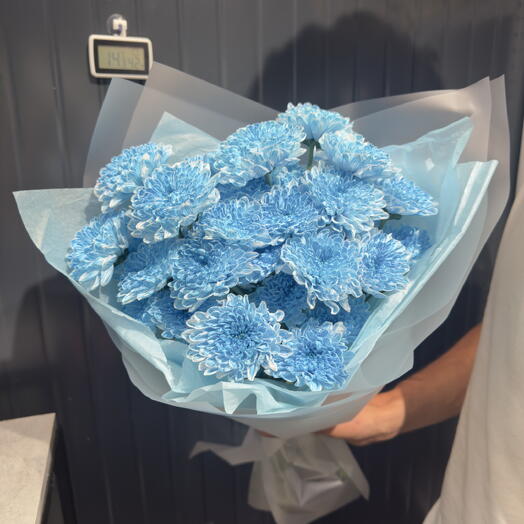 Пышный букет из голубой/синей хризантемы 💙 в современной упаковке на День Семьи