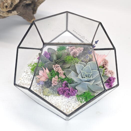 Florarium dodecahedron "Gentle"