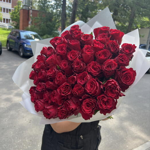 51 крупная красная Роза