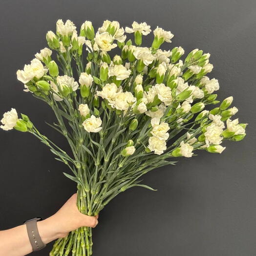 Монобукет из кустовых диантусов-25шт