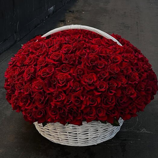 251 RED BASKET