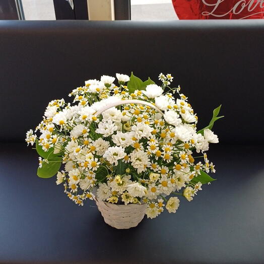 Ромашковая долина🌼