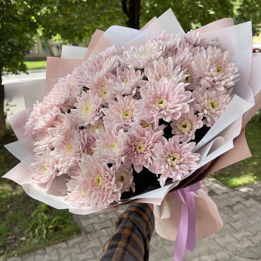 Монобукет из нежно розовых хризантем