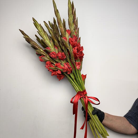 Букет из красного гладиолуса 15 шт