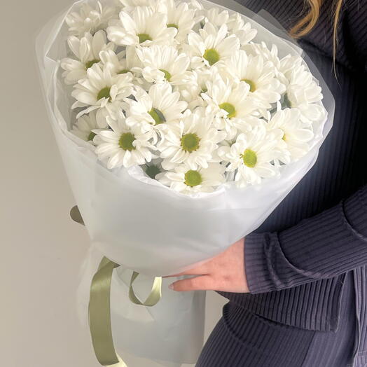 5 Кустовых хризантем в матовой упаковке