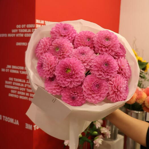 Pink dahlias