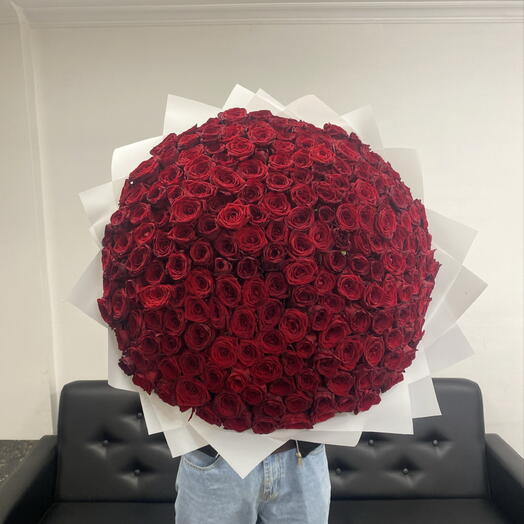 Большой букет красных роз🌹🌹🌹