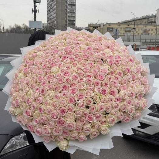 Букет из 201 розы