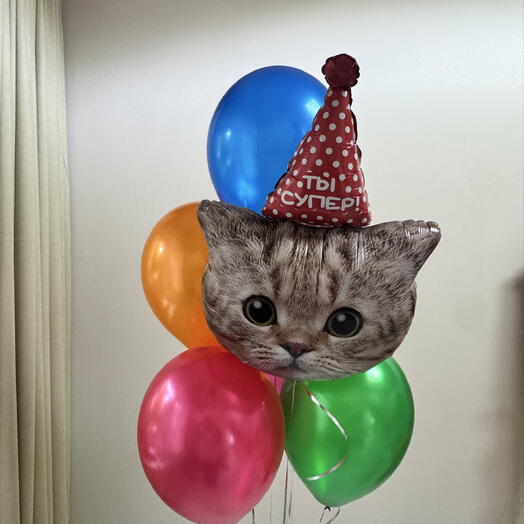 Воздушные шарики кот в красном колпаке