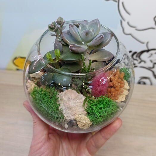 Клод