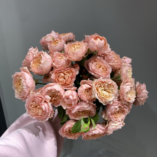 11 пионовидных кустовых роз под ленту ️🌸