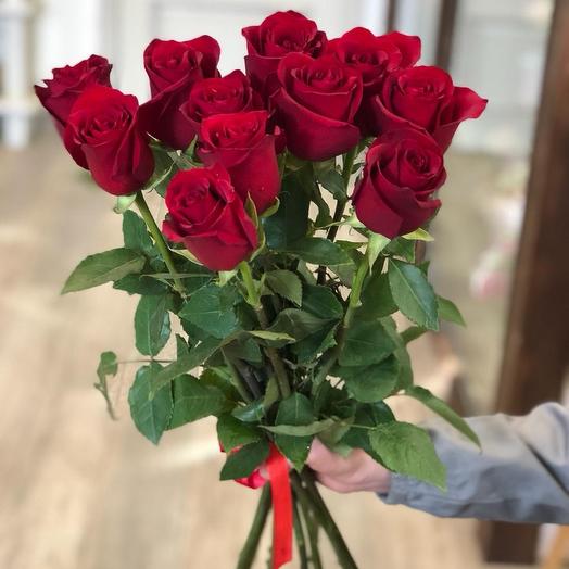 Rosas rojas clásicas