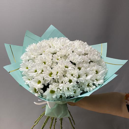 A cloud of daisies