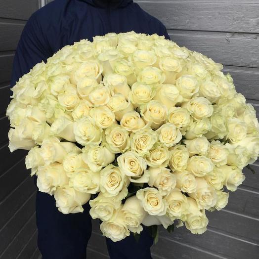 Bouquet of 101 white roses Ecuador 40 cm