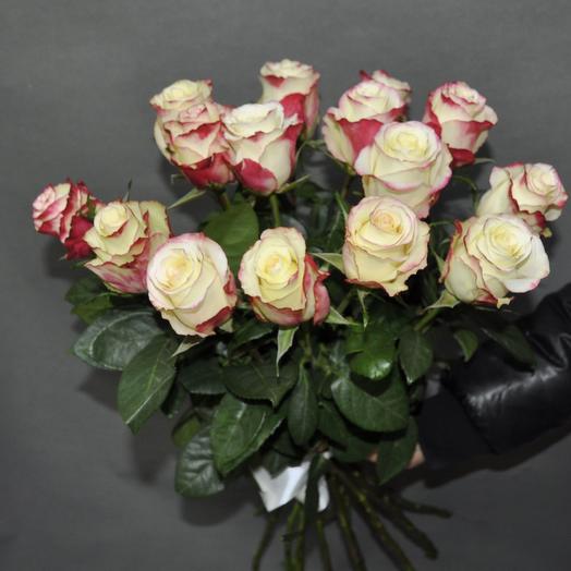 Rosas Sweetnes (Sweetnes) 60 cm.