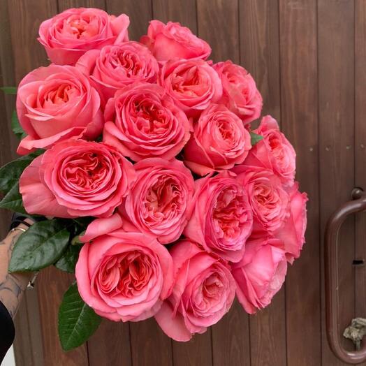 Bouquet of 17 peony-shaped Pink Express roses