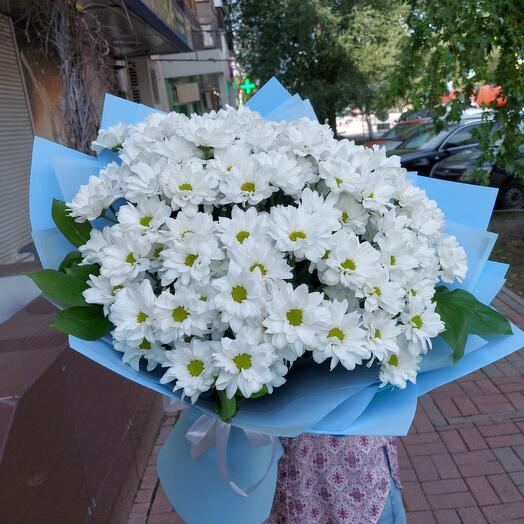 Ромашковый рай