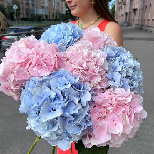 Mezcla de hortensias