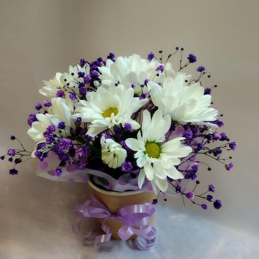 Комплимент