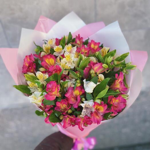 Bright alstroemeria