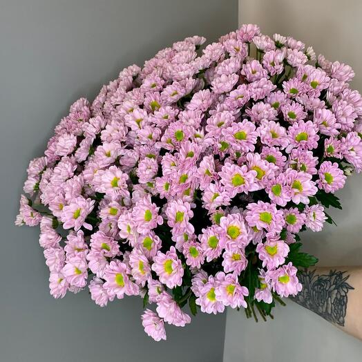 Сиреневый букет из хризантем Сантини💜