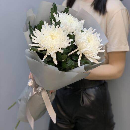 Хризантема