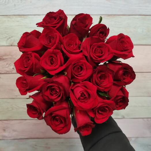 21 rosa Tru Love