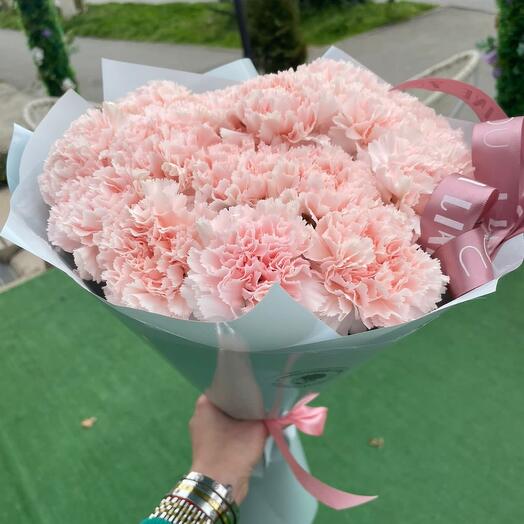 17 нежных диантусов