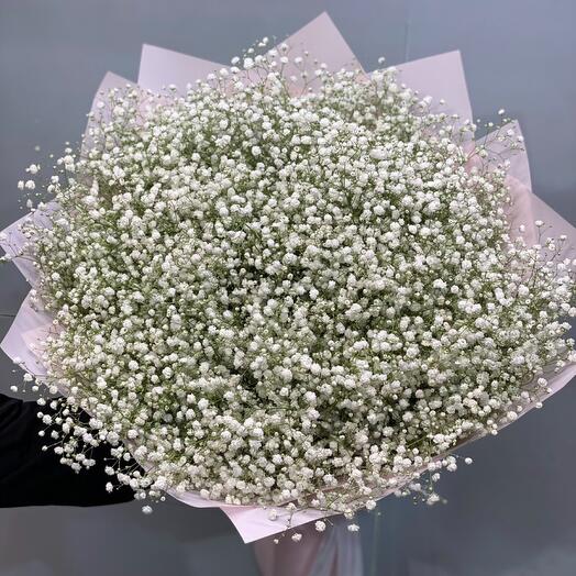 Bouquet of white gypsophila