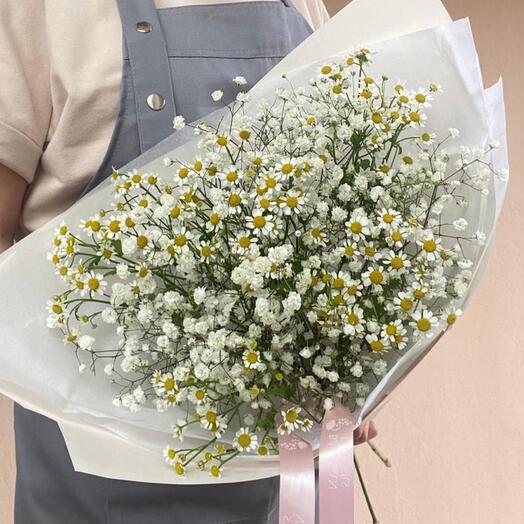 Camilla con Gypsophila