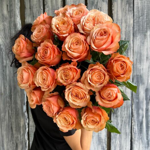Rosa peonía