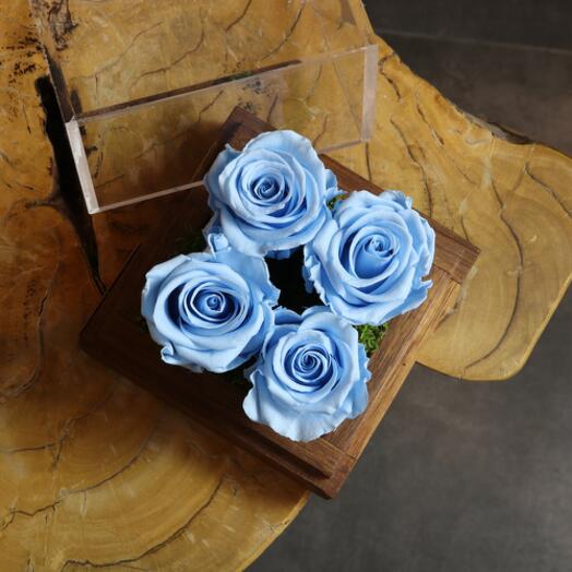 Light Blue Quatro Infinity Rose