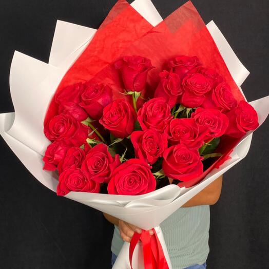 21 голландия