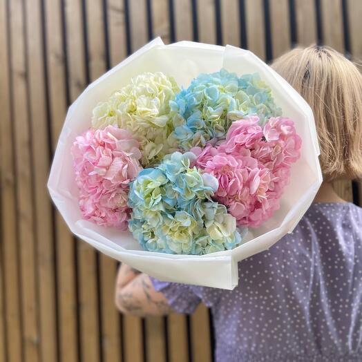 Гортензия микс