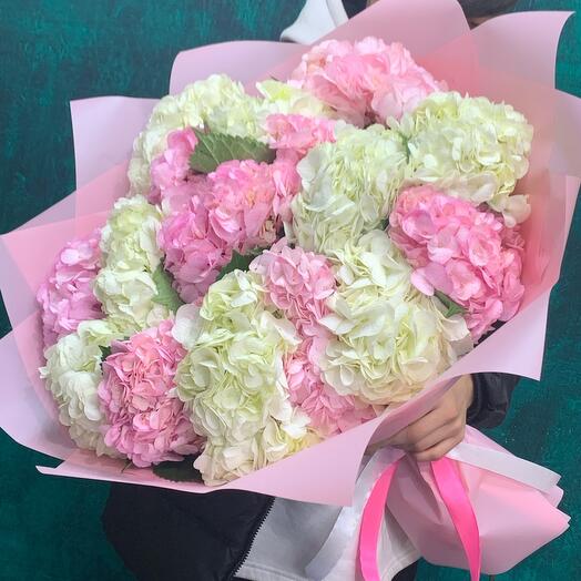 Hydrangea mix 15