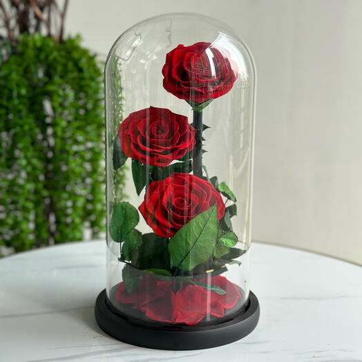 Forever Rose Red Large (preserved rose)