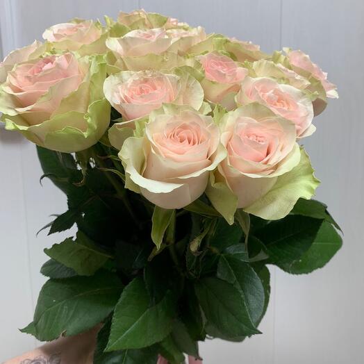 Mono bouquet of pink roses