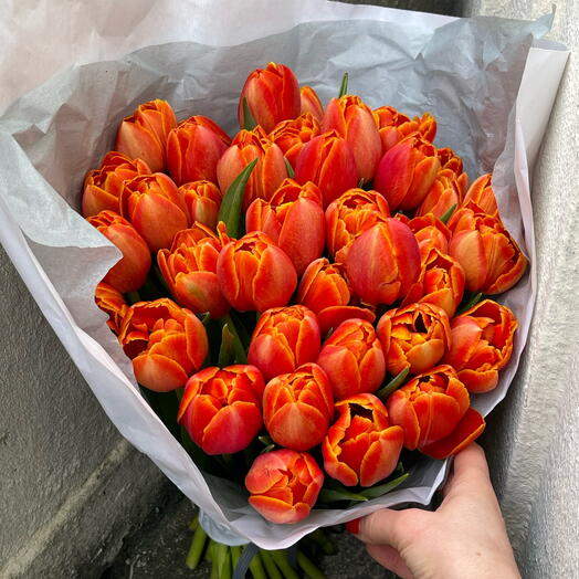 Tulips oranges 37 stems