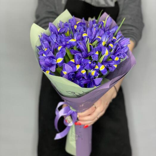 Букет 19 Ирис Голландия