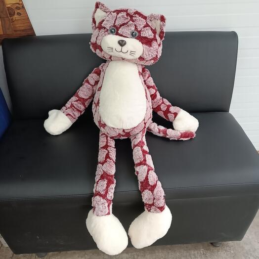 Большой кот