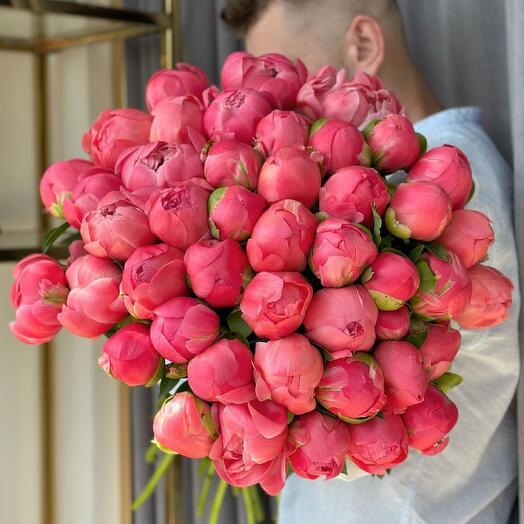 Букет из 51 кораллового пиона