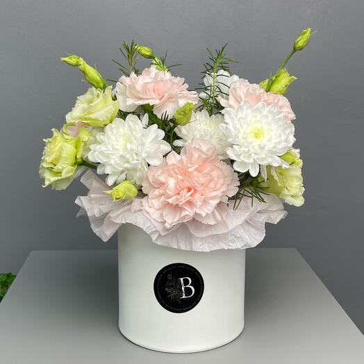 Коробочка стойкая нежная