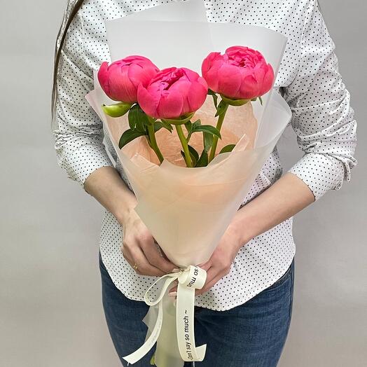 Шикарные Пионы