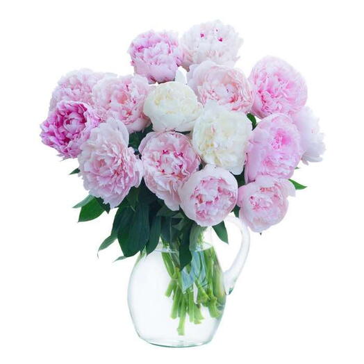 Bouquet od white and pink peonies