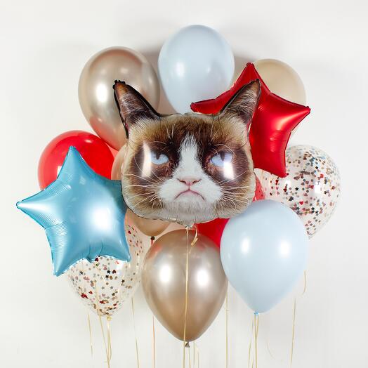 Набор из 13 шаров «Grumpy Cat»