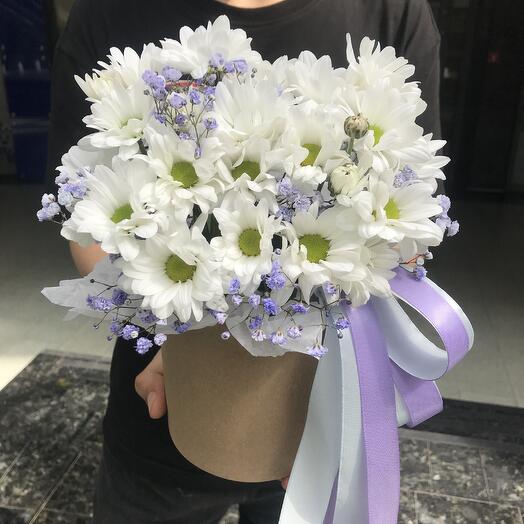 Composition of chrysanthemums and gypsophila
