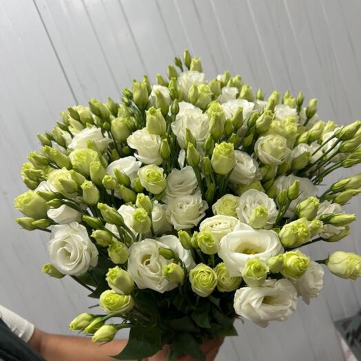 Букет из Эустома голландский