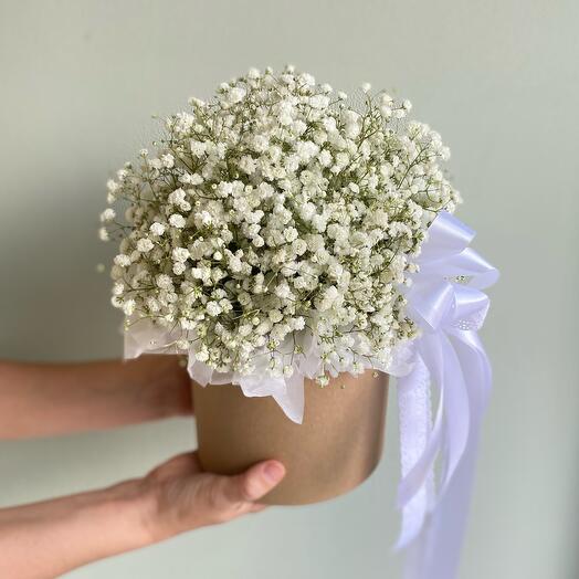 Композиция из белой гипсофилы